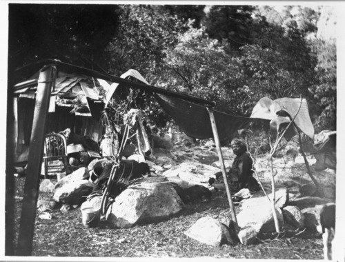 Naitve American Camp in Yosemite. Undated, possibly c. 1900 - 1910
