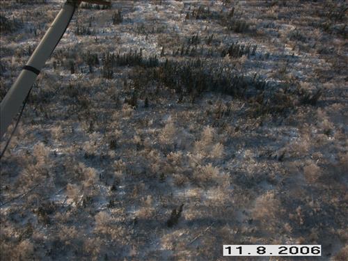 3 Yukon-Charley Rivers National Preserve Moose Survey November 2006