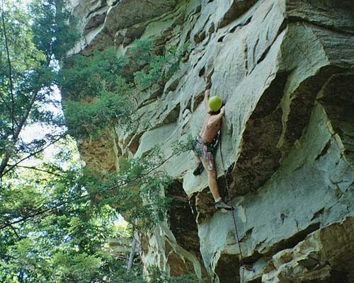 Stretching those limbs