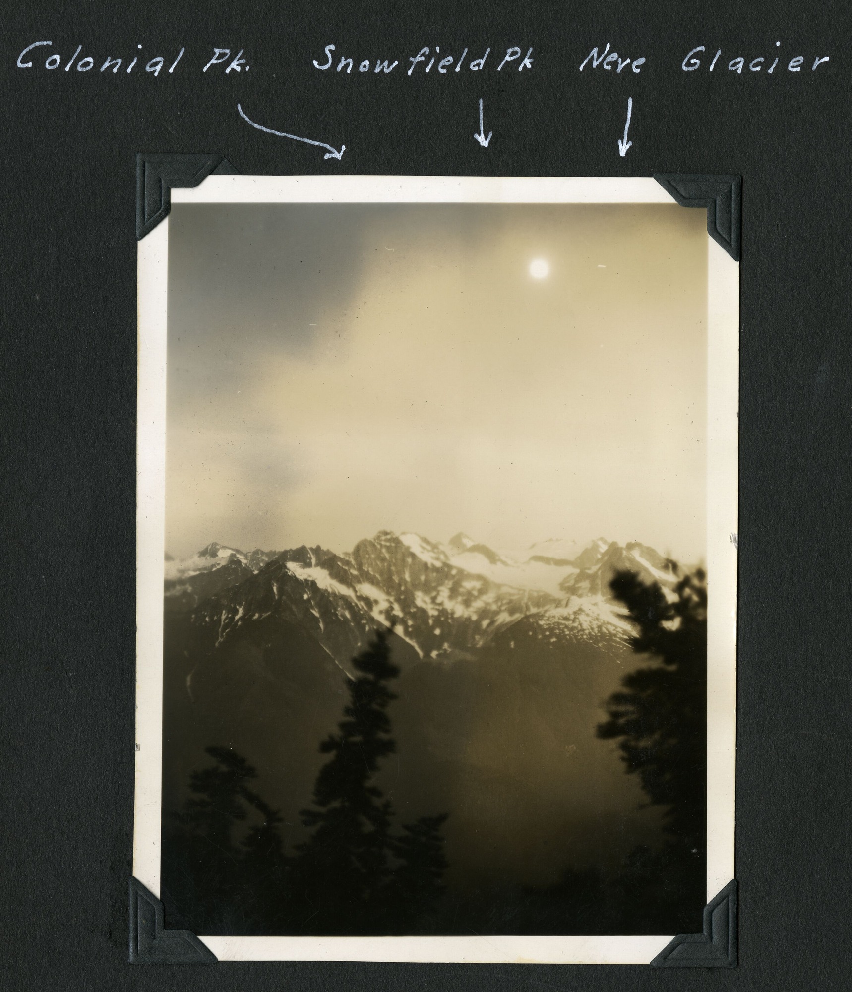 A mountain range with snow-covered peaks and a few conifer trees in the foreground.