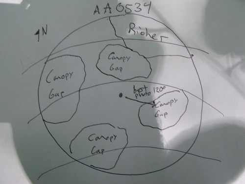 GRSM Accuracy Assessment. Plot Code: GRSM_AA_0534