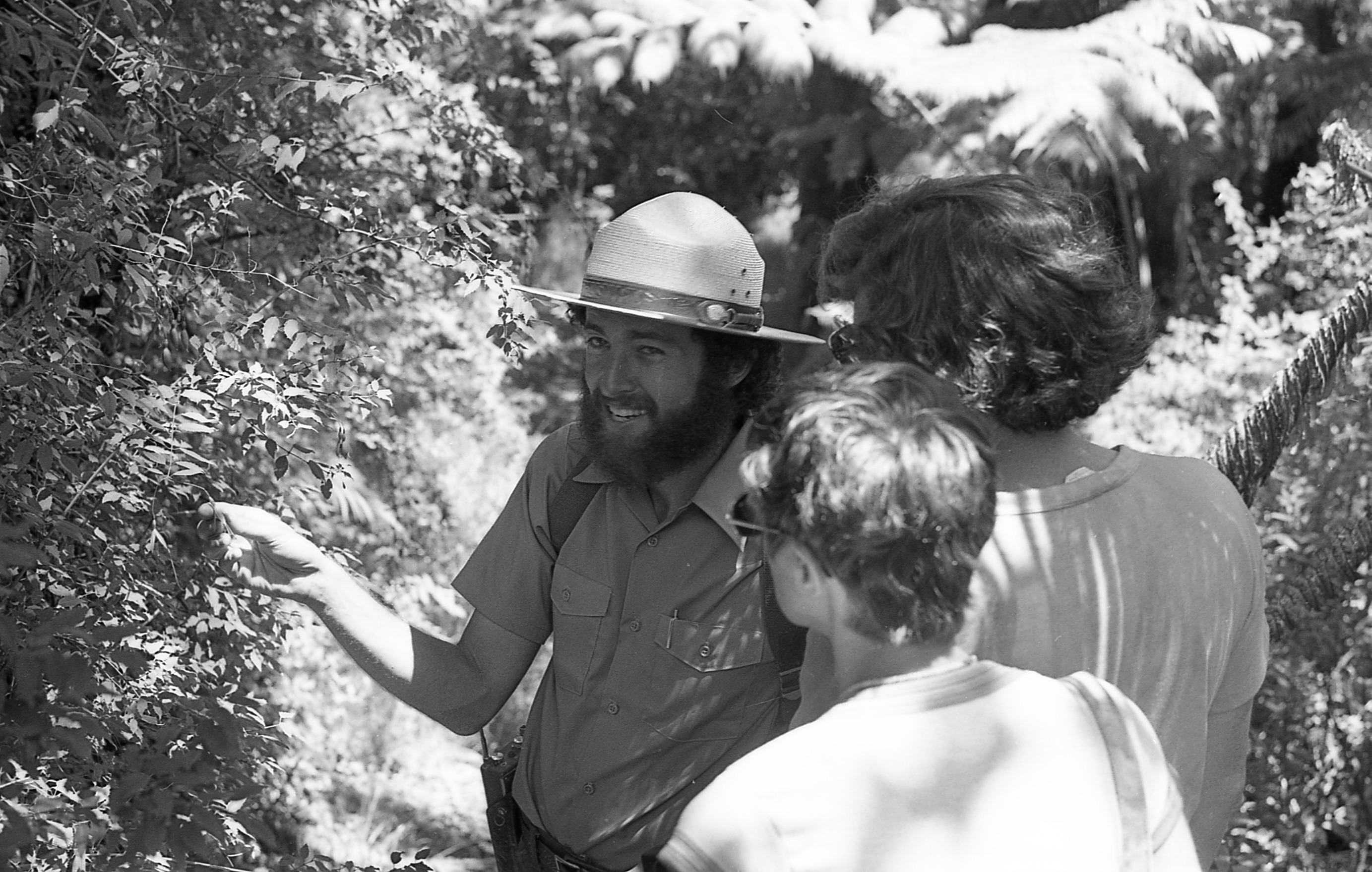 A black and white image of a male park ranger smiling holding onto the leaves of a bush with two visitors watching. The park ranger is wearing the National Park Service uniform including a ranger hat and a short sleeve button down shirt. He is carrying a backpack. He is holding onto a leaf of a bush with his right hand. He is making eye contact with the camera and is smiling. Standing to the right of him is a man wearing a t-shirt and eyeglasses. The man is standing with his back towards the camera and is looking at the park ranger. Behind this man is a woman who is also standing with her back towards the camera and is looking at the park ranger. She is wearing sunglasses and a short sleeve shirt. There is a lot of vegetation in the background.