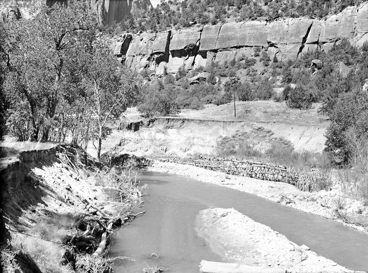 Stream bank protection along eroded stream bank, near old Wiley camp. Logs wired to cables, willow cuttings scattered along logs.