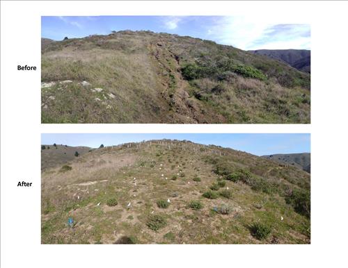 Realignment of Dias Ridge Trail