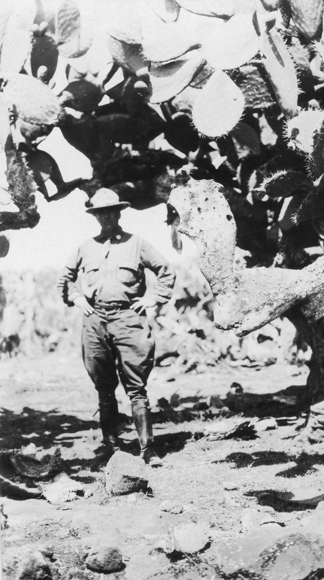 Black and white image of Thomas Boles standing alone dressed in National Park Service attire. Boles is on the left side of the photograph underneath a large panini or prickly pear cactus acting as an archway.