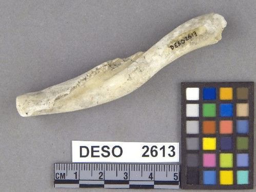 DESO    2613 -- Hammer