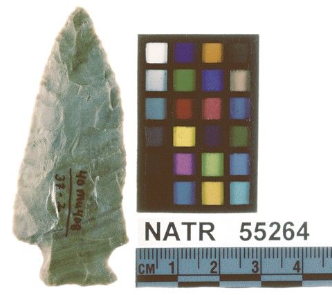 NATR   55264 -- Untyped projectile point