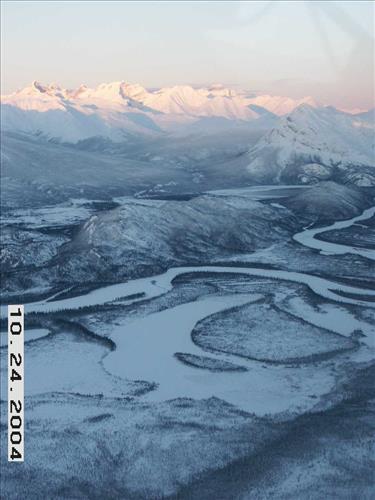 7 Gates of the Arctic National Park and Preserve Koyukuk Moose Survey 2004