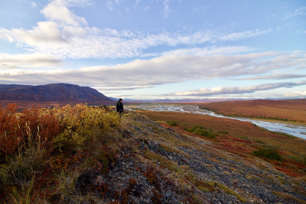 The Nimiuktuk River braids toward the Noatak River, a man stands on the tundra and looks out
