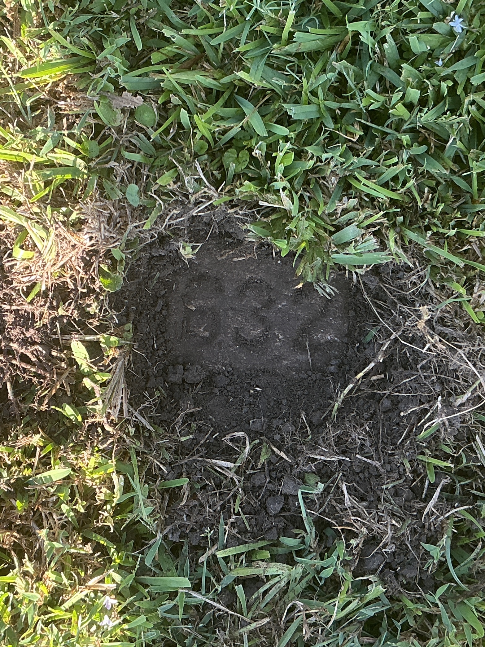 Top of flat marble marker