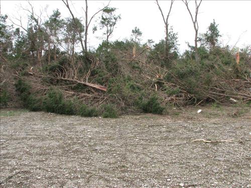 Photos taken in the aftermath of April 10, 2009, tornado at Stones River National Battlefield