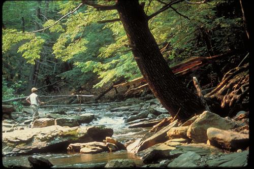 Catoctin Mountain Park, Maryland