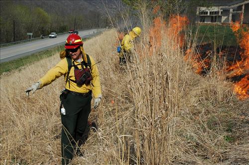 Prescribed fire activities near the Sandstone Visitor Center in New River Gorge National Park and Preserve in January 2007.