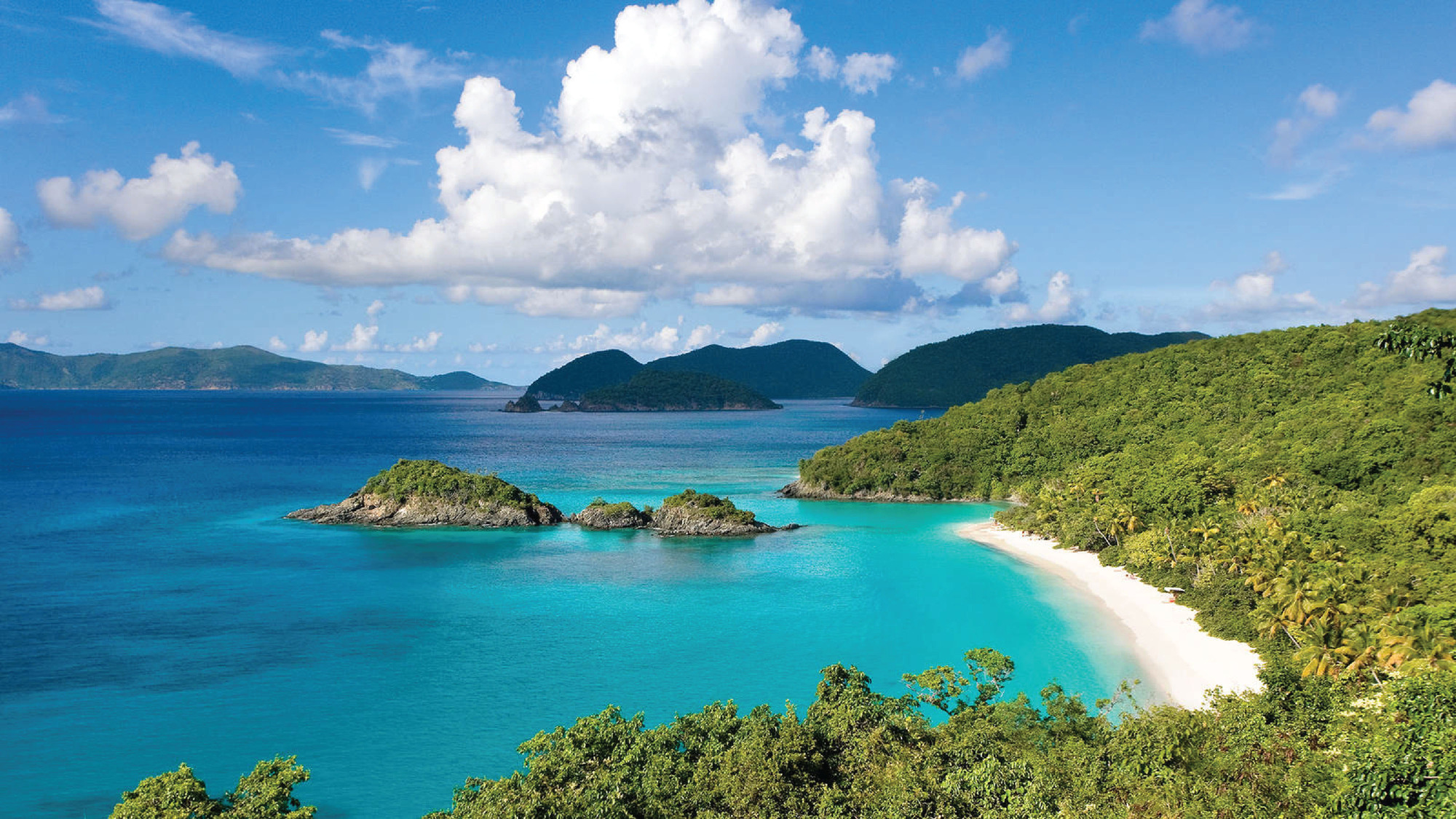 tropical island and beach