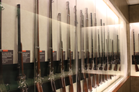 Rows of historic rifles inside a glass case