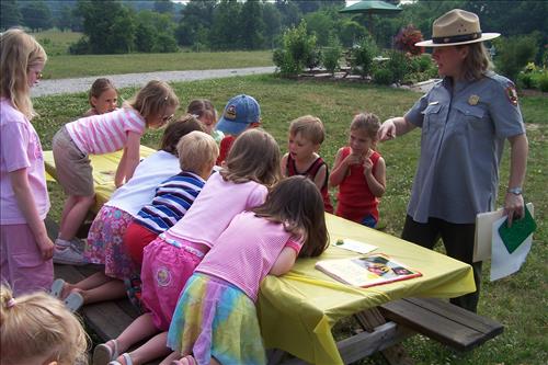 Junior Ranger, Butterfly's Breakfast, Crafts