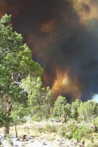 Full fire with black smoke in wooded areas during Long Mesa Fire at Mesa Verde National Park, July 29-Aug. 4, 2002