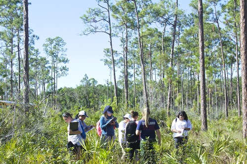 Students find evidence of past fire in Pine Rocklands
