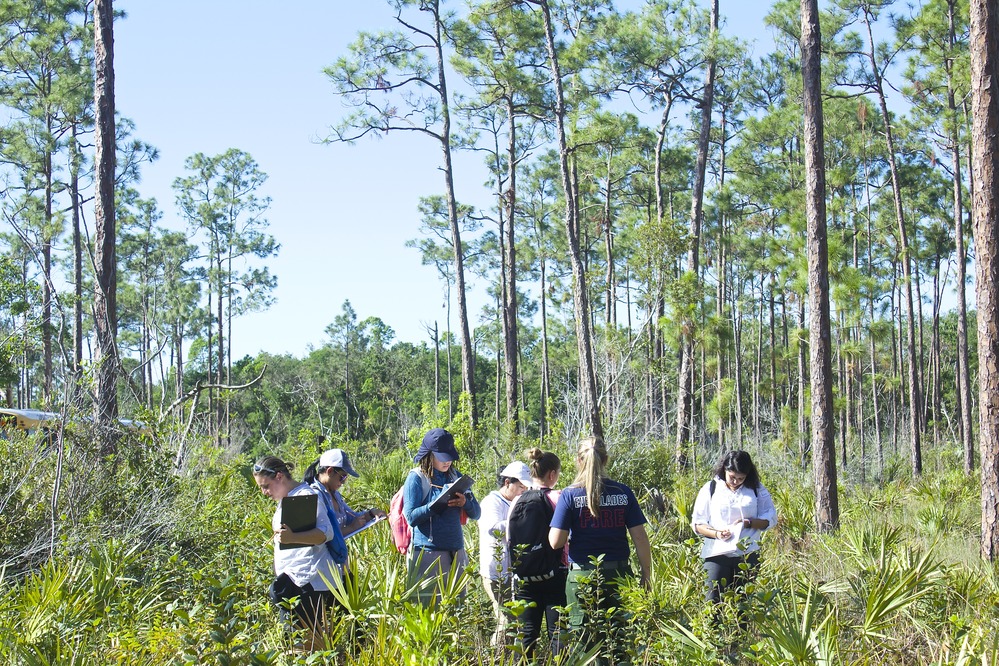 Students find evidence of past fire in Pine Rocklands