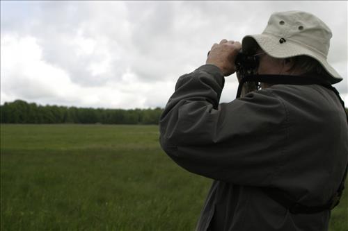 Bird watching at Coliseum site