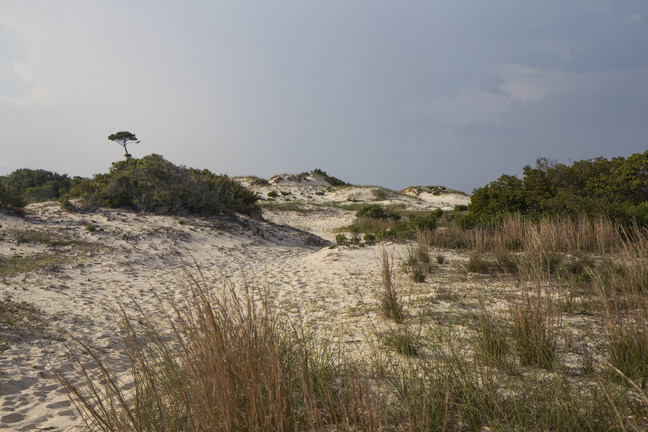 Sand dunes on an island