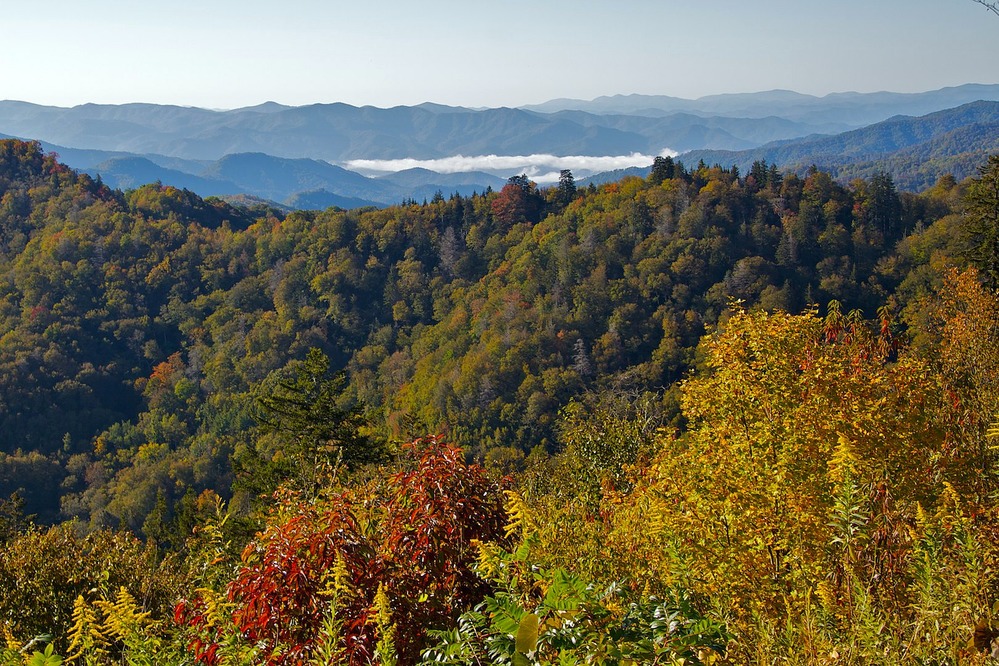 Early fall along Newfound Gap Road