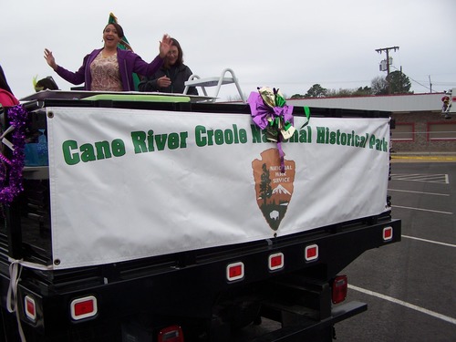 Mardi gras banner