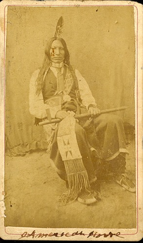 American Horse in a Mix of Traditional and Western Clothing