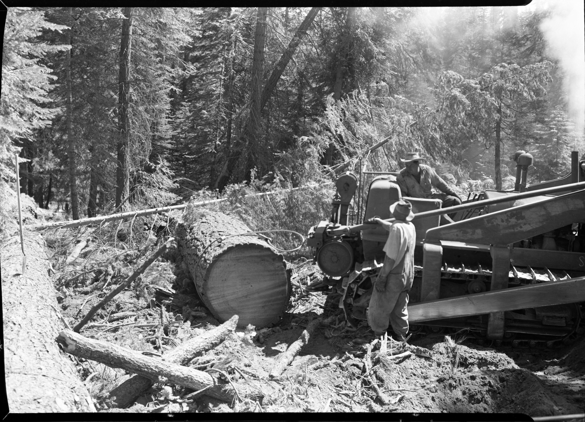 Aspen Valley logging operations.