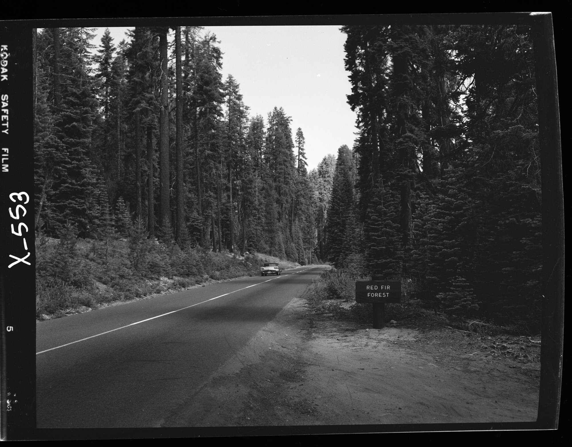 Interpretative signs along Tioga Road