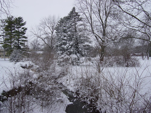 A shallow creek meanders through a snow covered park landscape.
