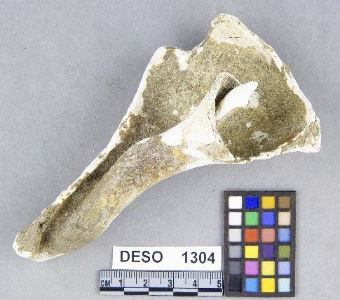 DESO    1304 -- Hammer