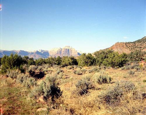 Color Photos of Zion Canyon - 4x5.