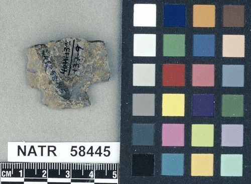 NATR   58445 -- Ledbetter Cluster projectile point