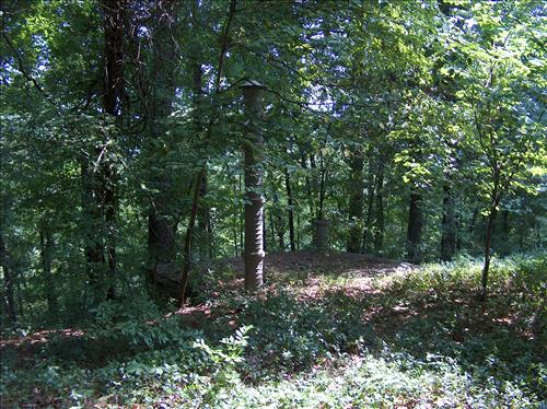 Collins-Yardum House at Chattahoochee River National Recreation Area in August 2006