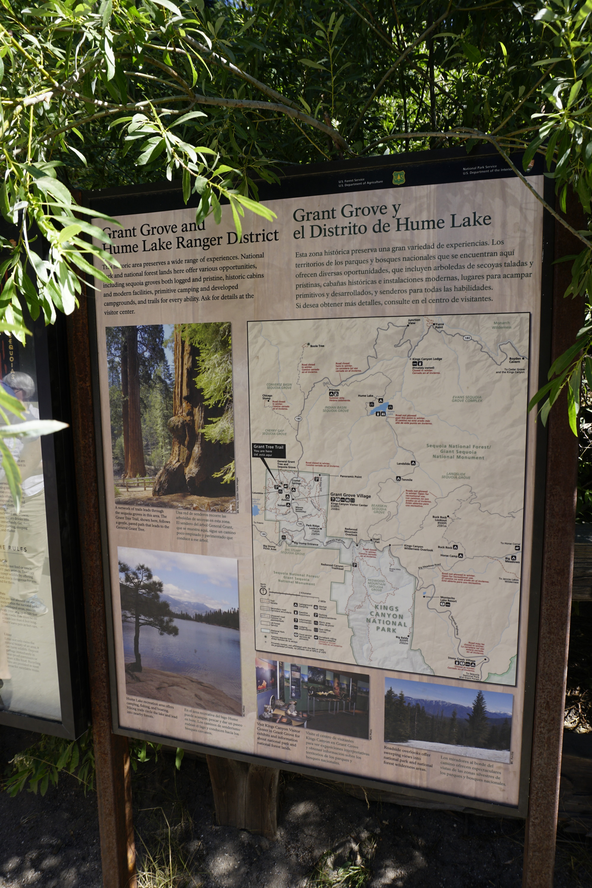 A tan metal panel sits in a metal frame. Low hanging leaves stretch towards the panel
