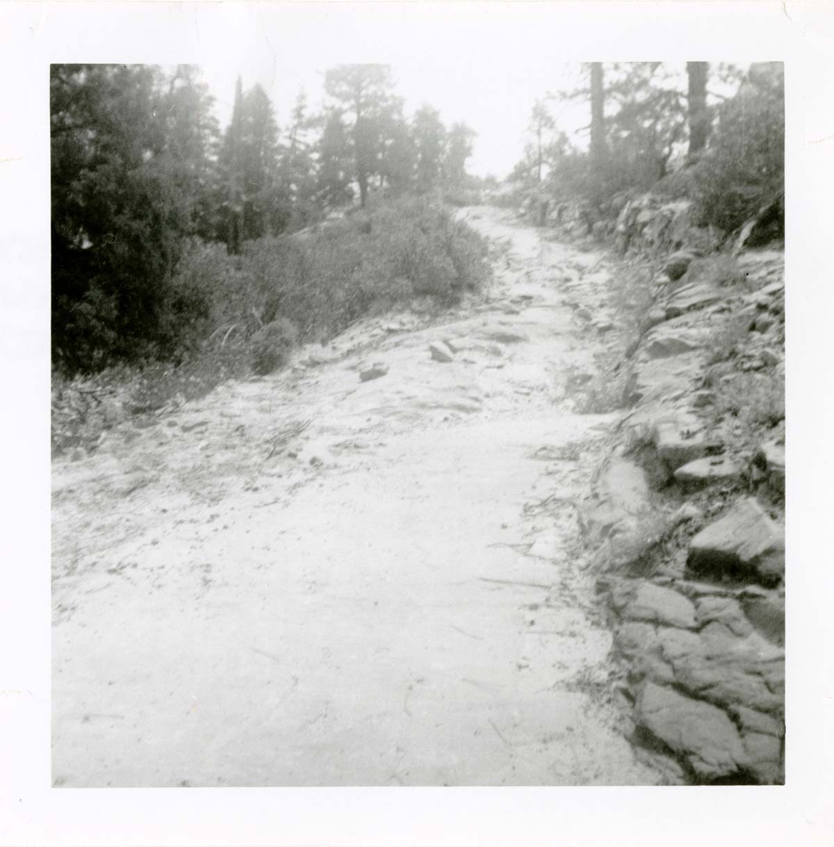General view of the East Rim trail.