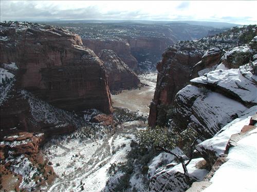 Exotic Species Removal Planning at Canyon de Chelly National Monument, Chinle, AZ - View at Spider Rock Overlook