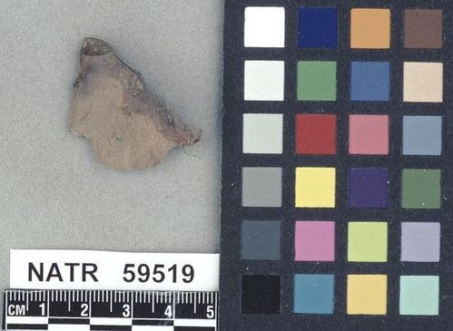 NATR   59519 -- Untyped projectile point