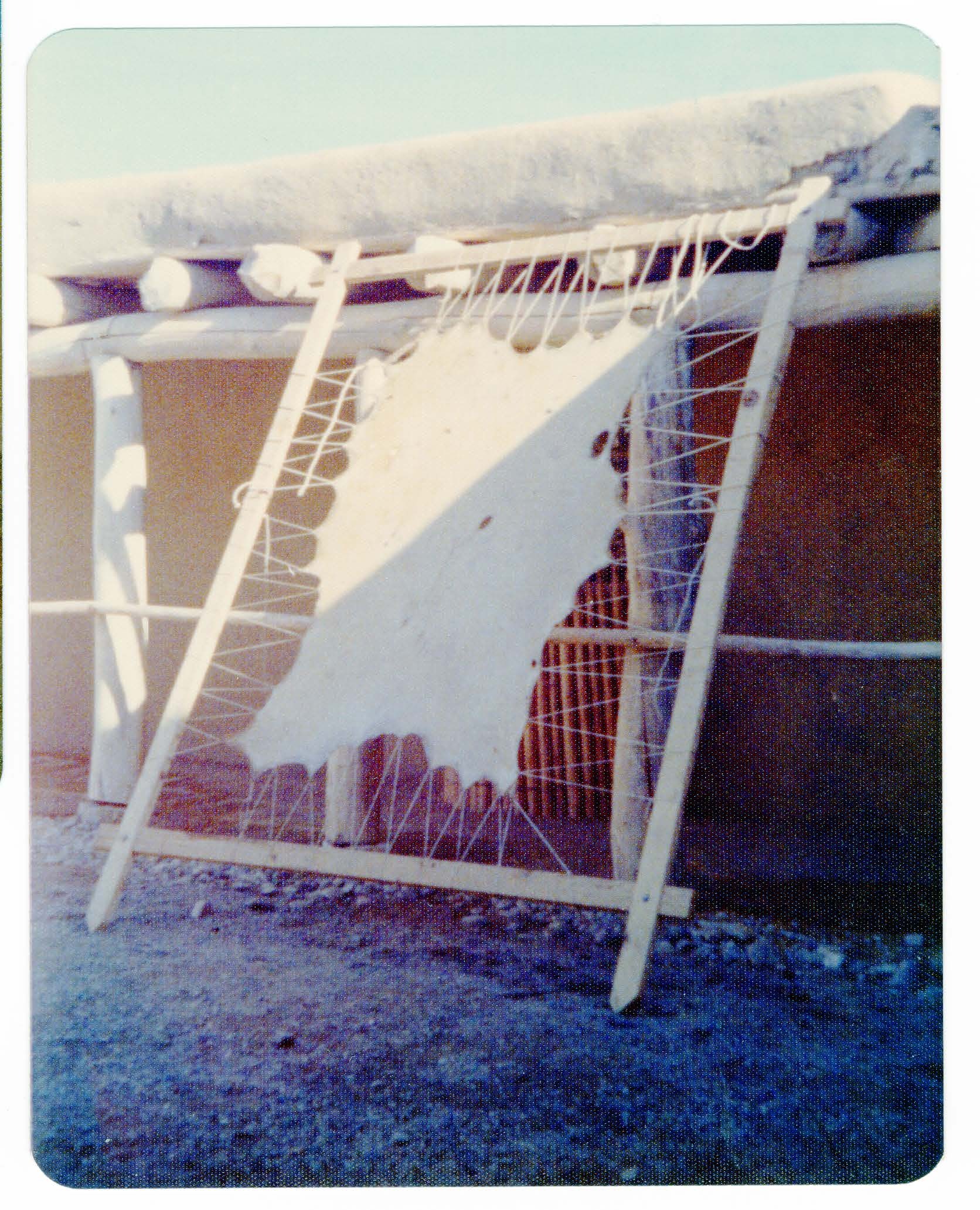 A tanned bison hide is stretched out in a frame made of two by four lumber. This frame leans up against the inside of the plaza. 
