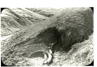 Mammoth Tusk