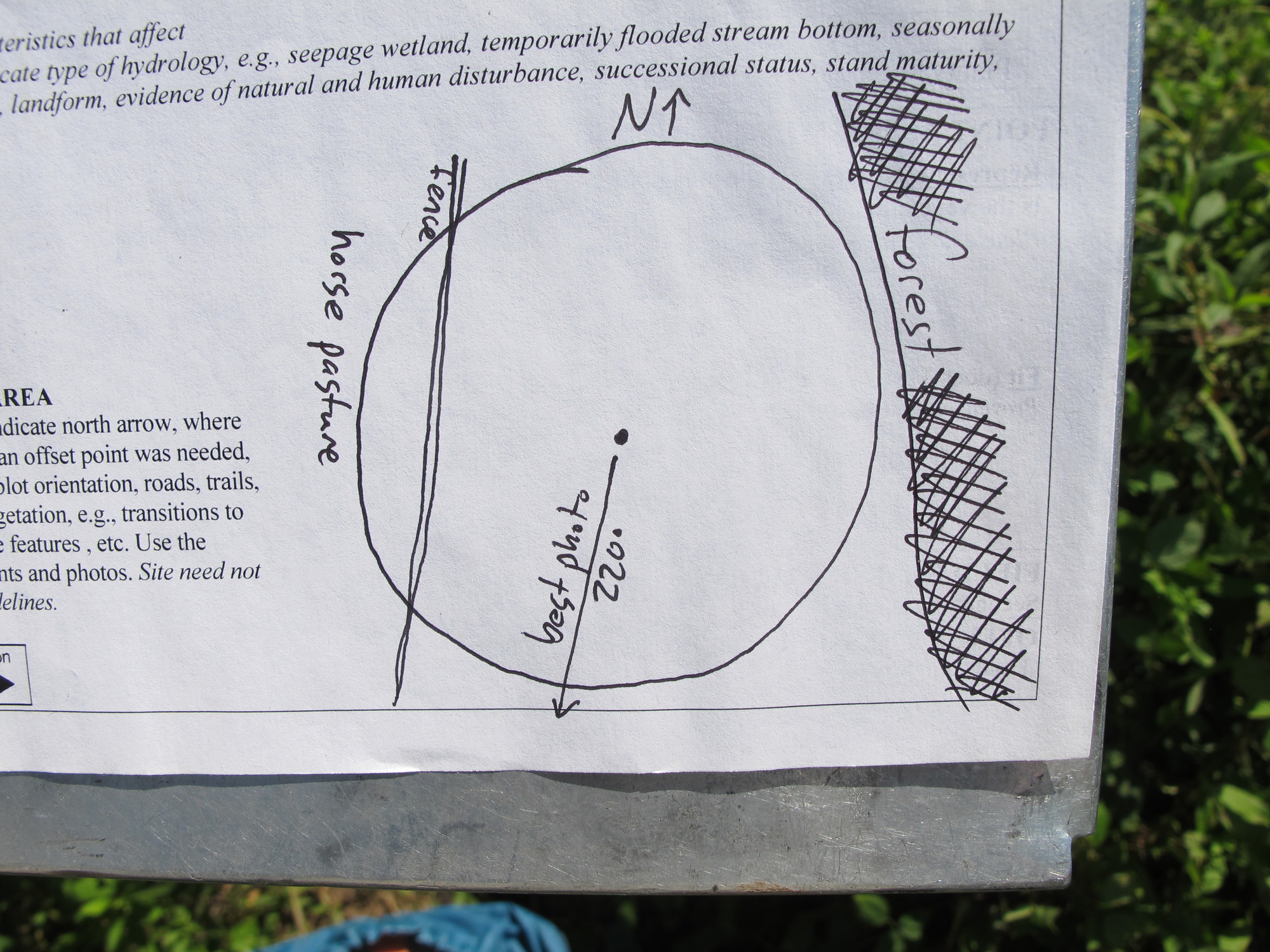 GRSM Accuracy Assessment. Plot Code: GRSM_AA_0776_7