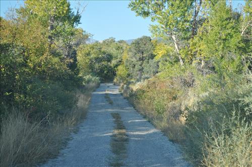 Cyclic Roads Brushing Needs