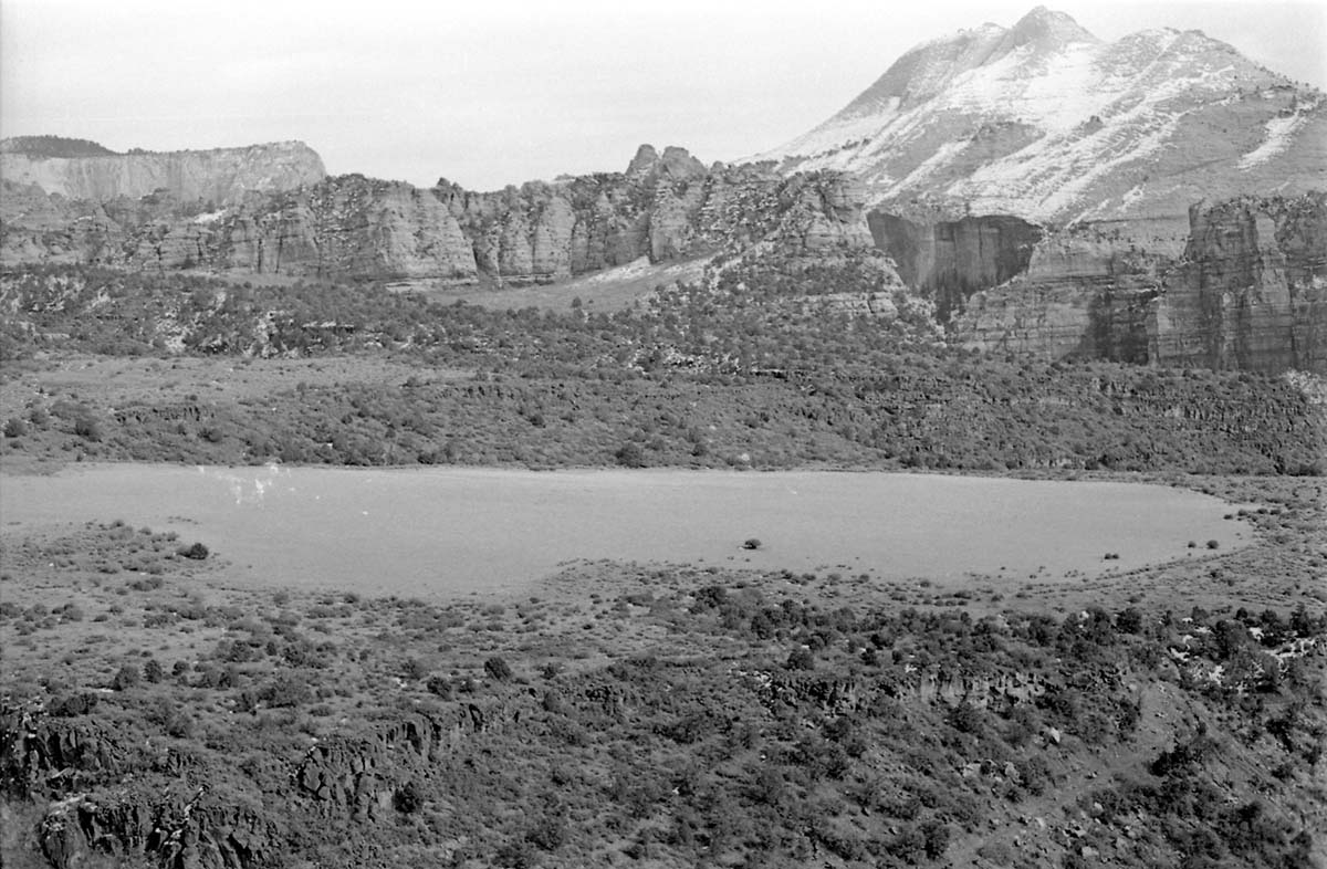 BW photo of the 1937 grazing study 35MM.