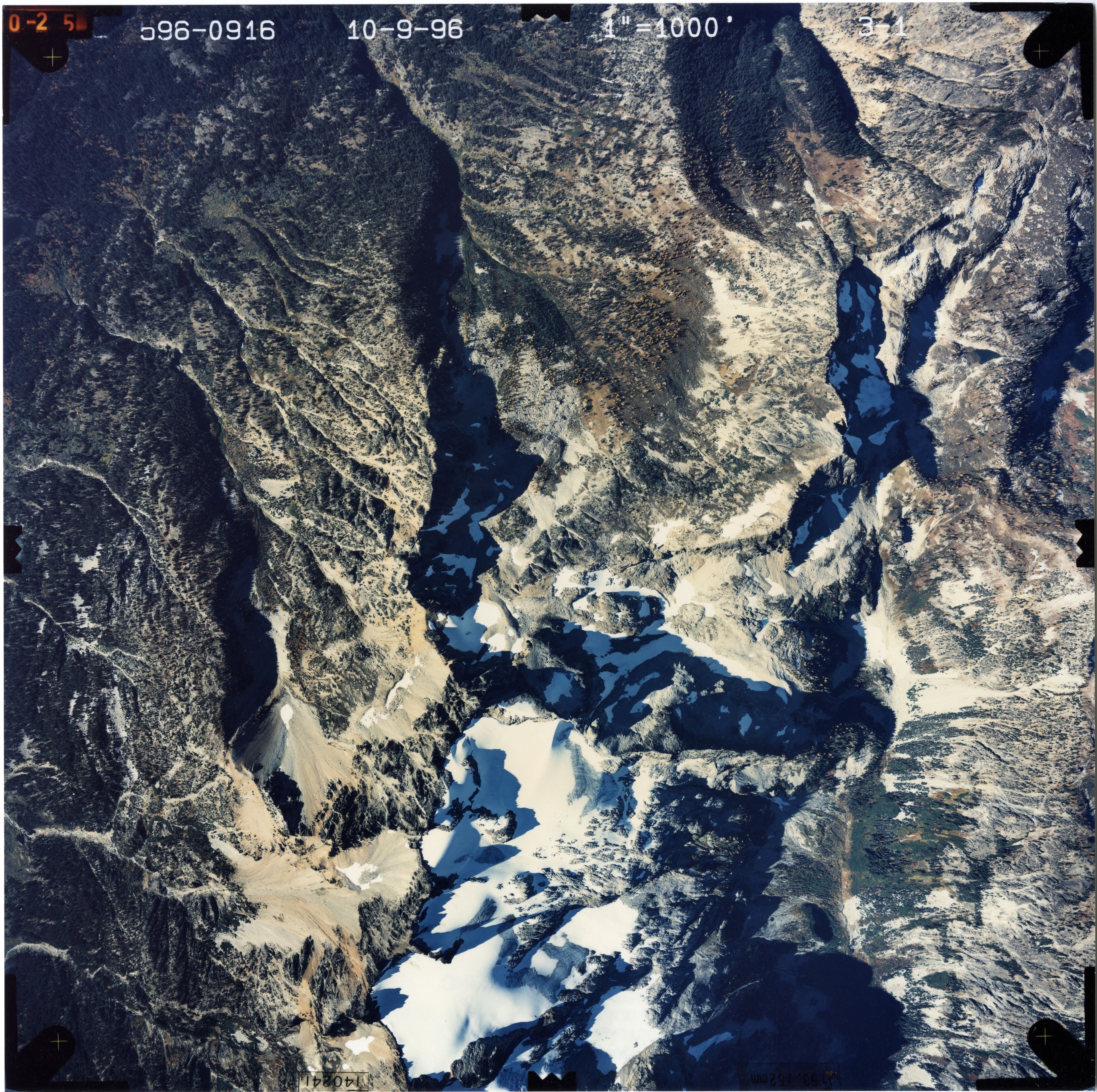 Color aerial photograph of glacier and snowfields on mountain peak with forested valleys below.
