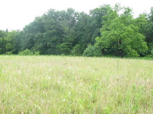 Plot Code: GRSM_AA_0470_3