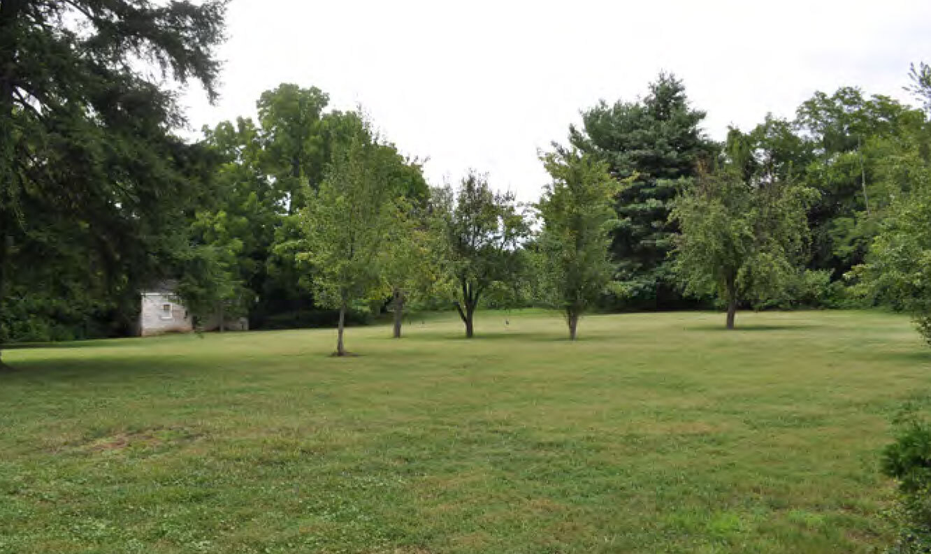 A cluster of six pear trees with leafy branches stands on a mown lawn, which is framed by a perimeter of trees and a small structure. 