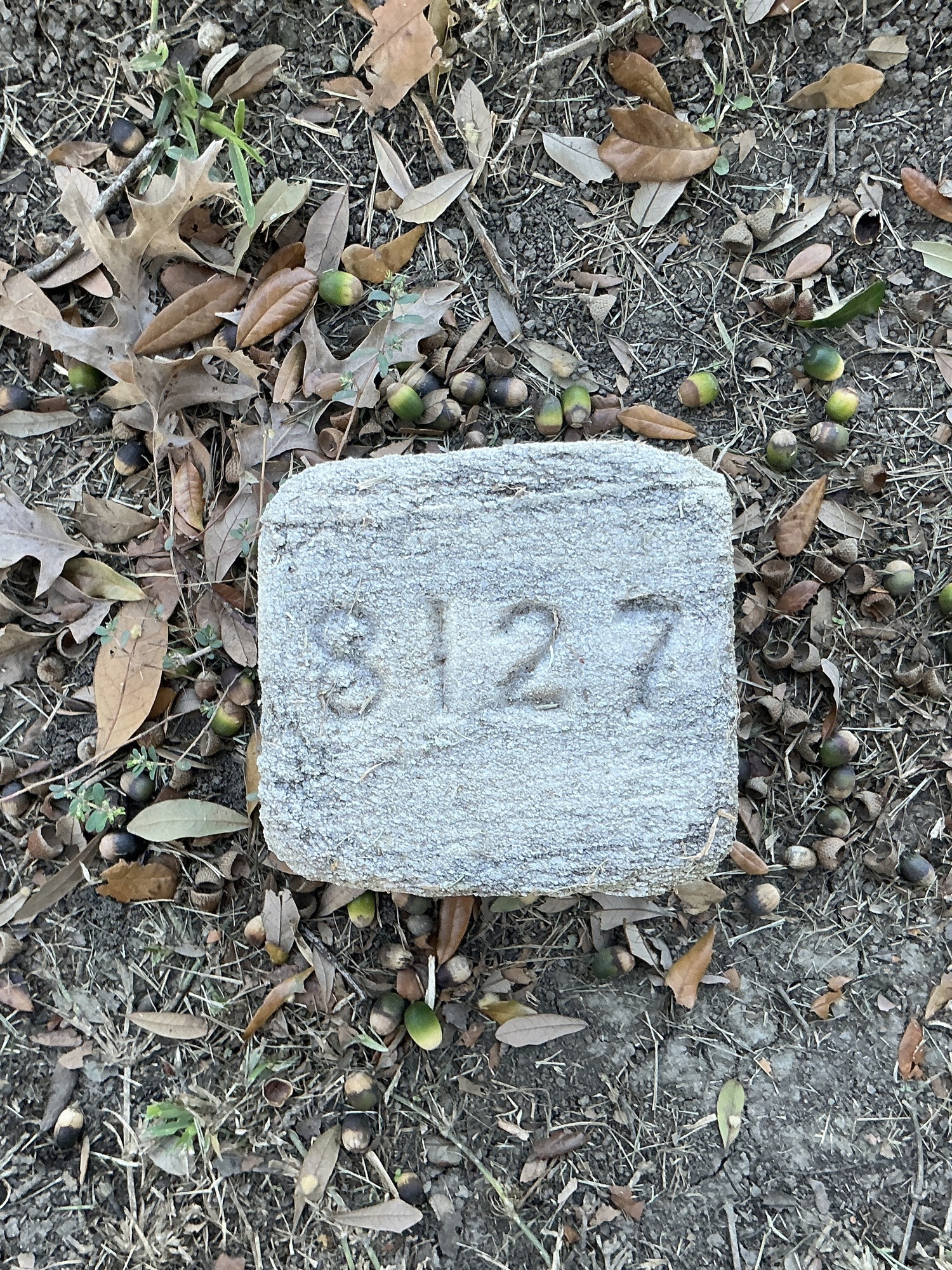 Top of flat marble marker