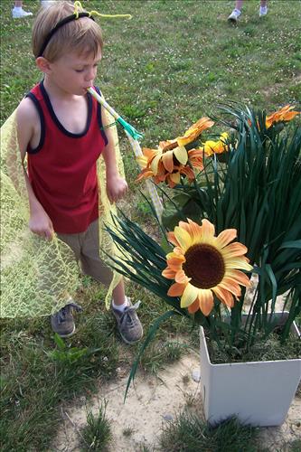 Junior Ranger, Butterfly's Breakfast, Activities