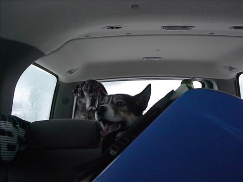 2 Gates of the Arctic National Park and Preserve Hares Survey 2004